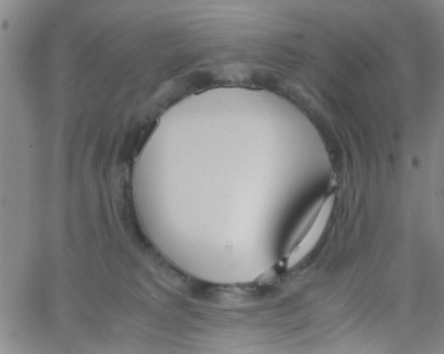 X0000062670229200601181908