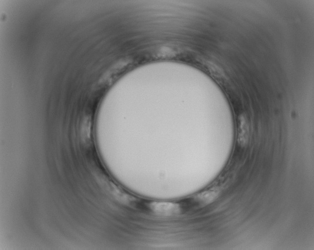 X0000062670230200601181908