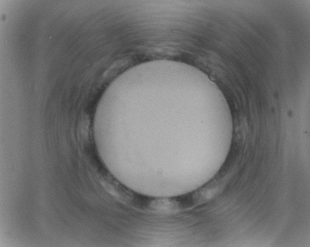 X0000062670231200601181908