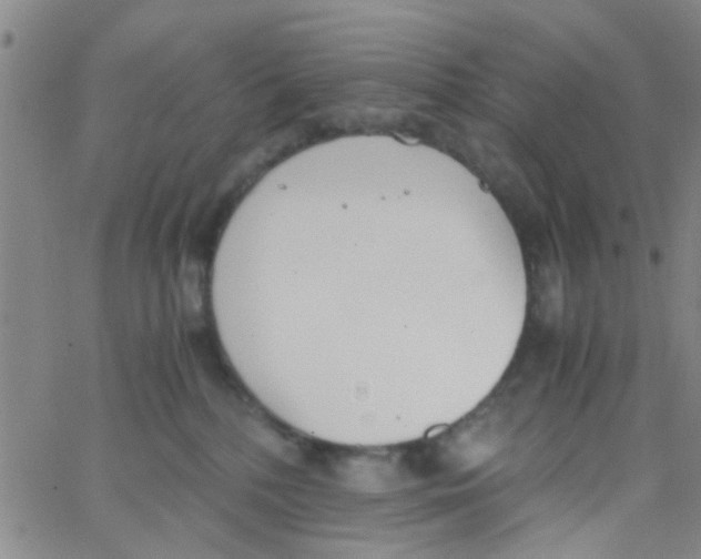 X0000062670232200601181908