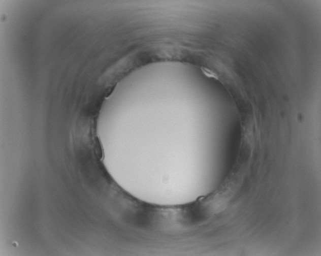 X0000062670233200601181908