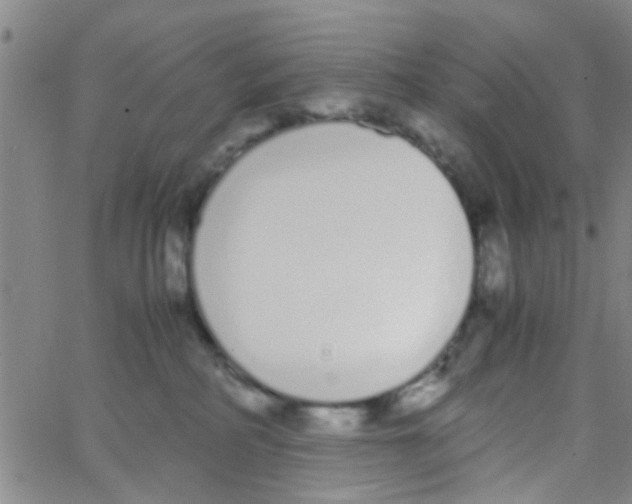 X0000062670234200601181908