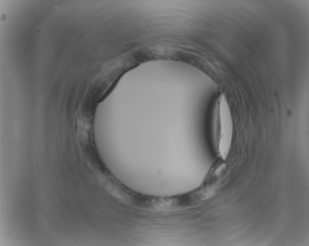 X0000062670235200601181908