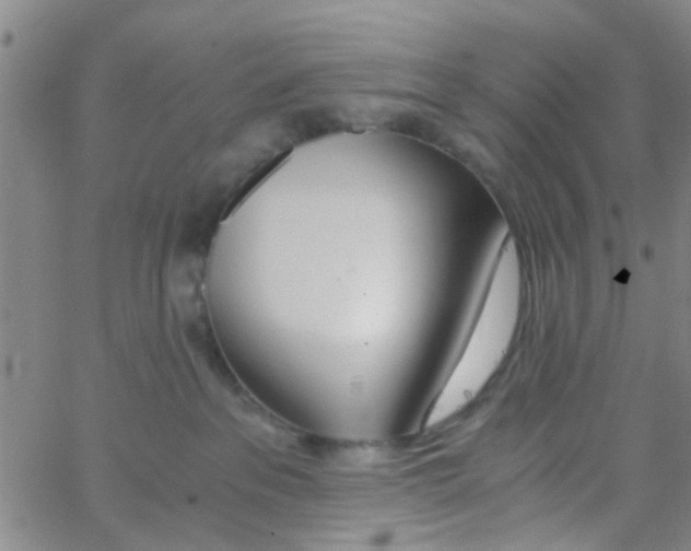 X0000062670237200601181908