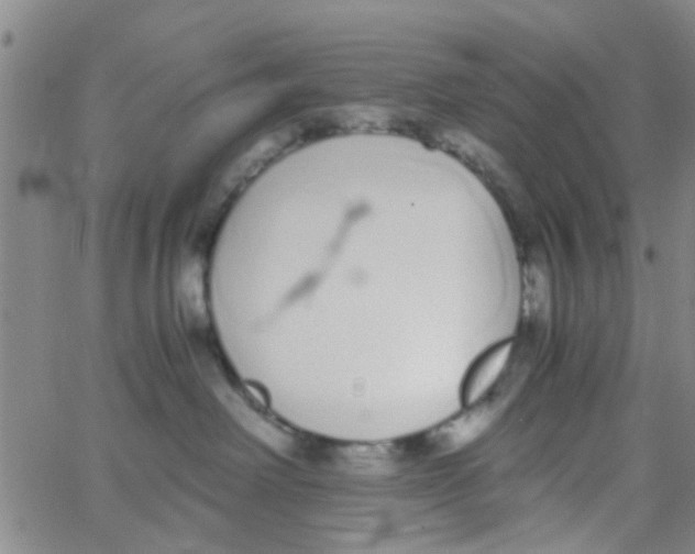 X0000062670238200601181908