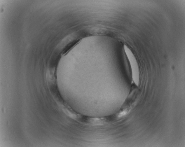 X0000062670239200601181908