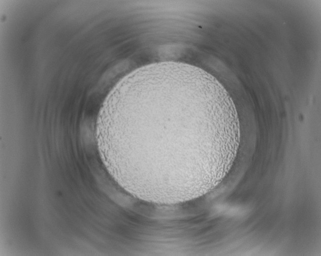 X0000062670240200601181908