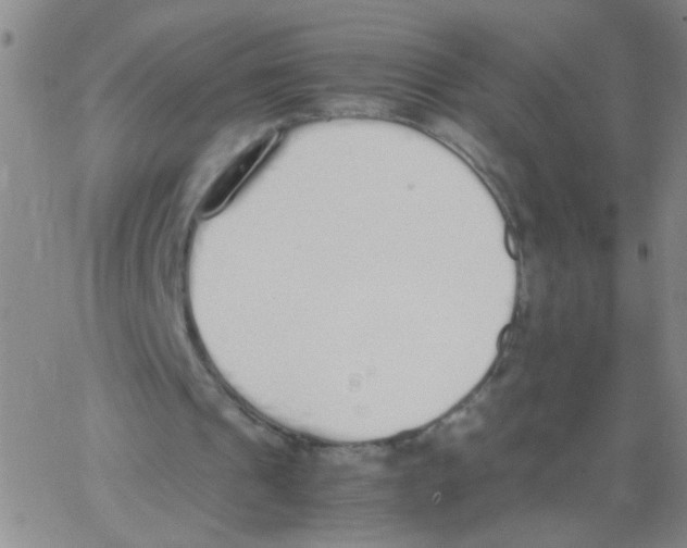 X0000062670241200601181907