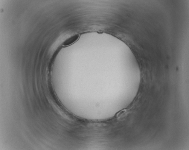 X0000062670242200601181907