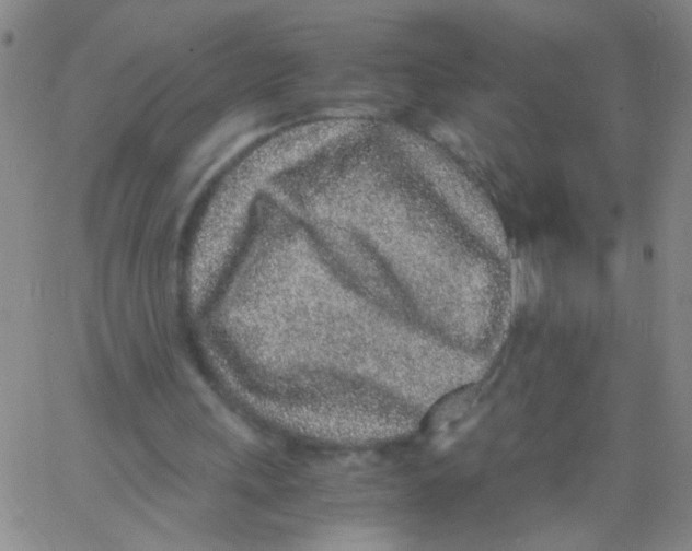 X0000062670243200601181907