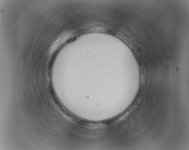 X0000062670245200601181907