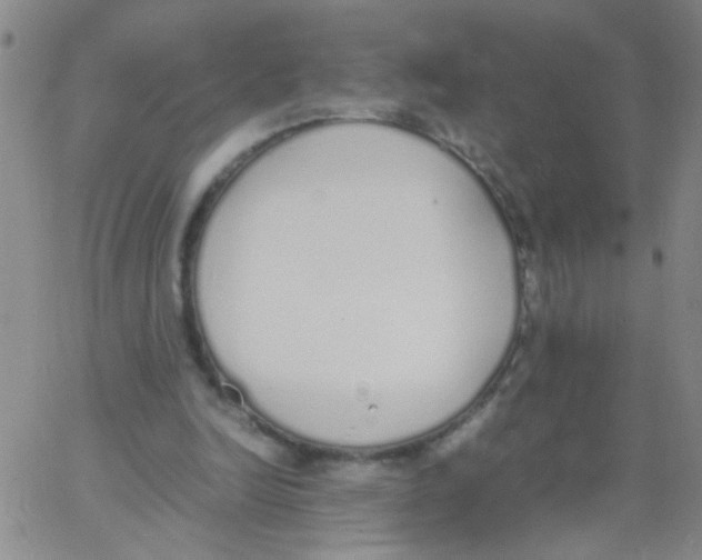 X0000062670246200601181907