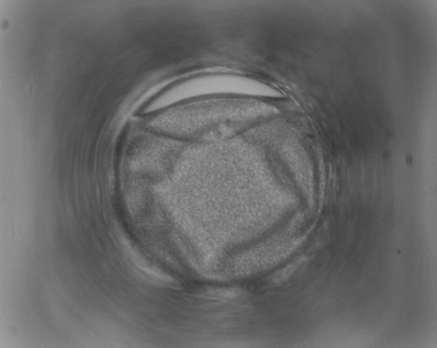 X0000062670247200601181907