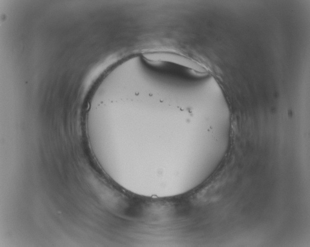 X0000062670248200601181907