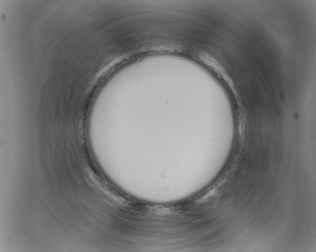 X0000062670249200601181907