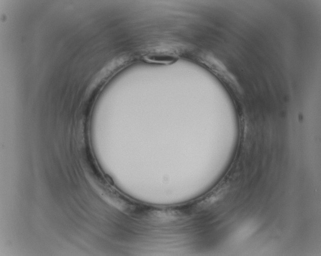 X0000062670250200601181907