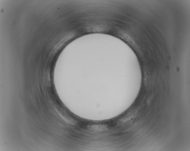 X0000062670251200601181907