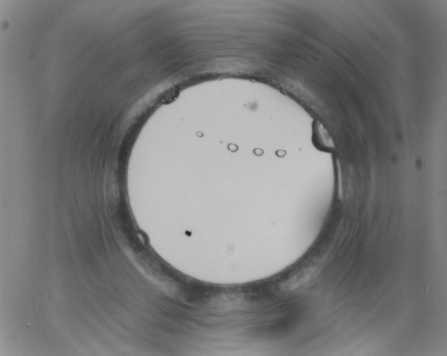 X0000062670252200601181907