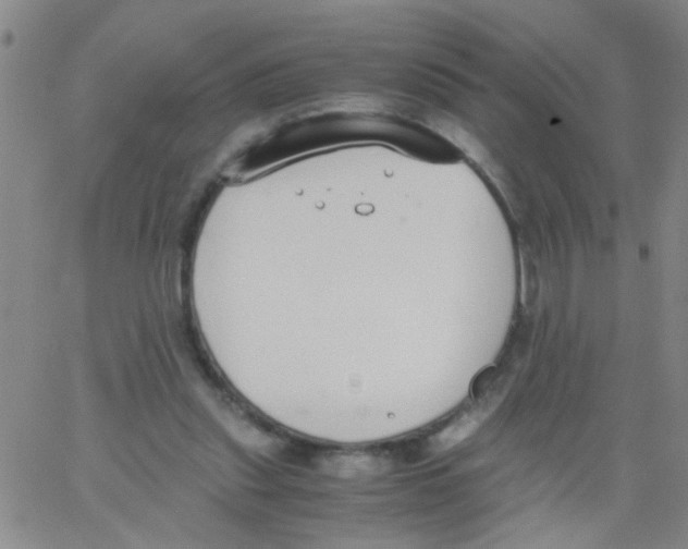 X0000062670253200601181907