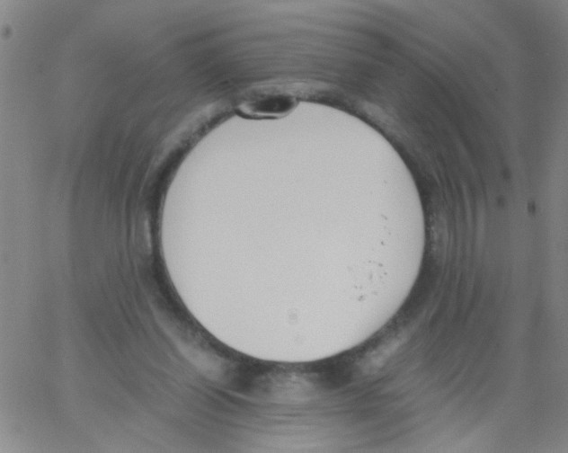 X0000062670254200601181907