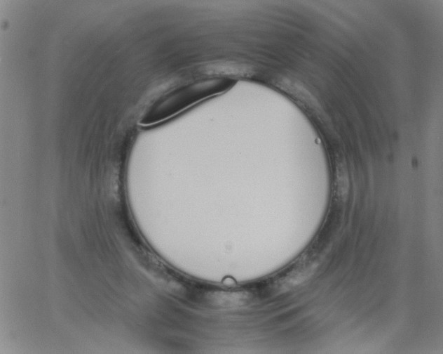 X0000062670255200601181908