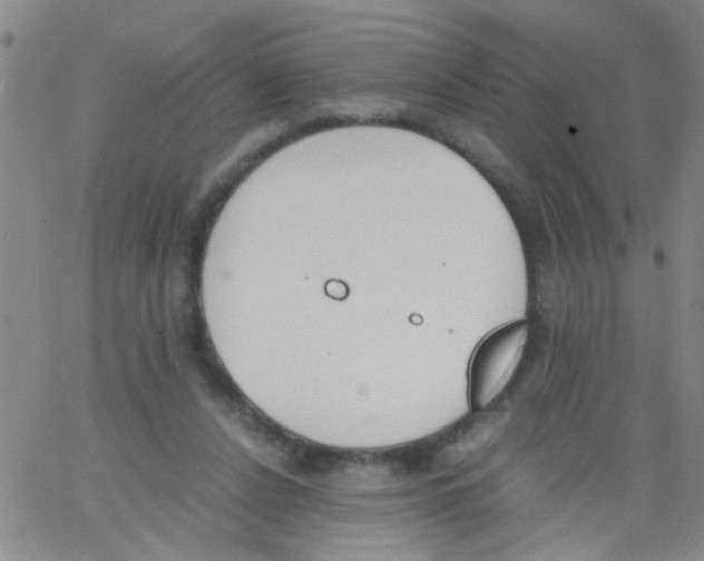 X0000062670256200601181908