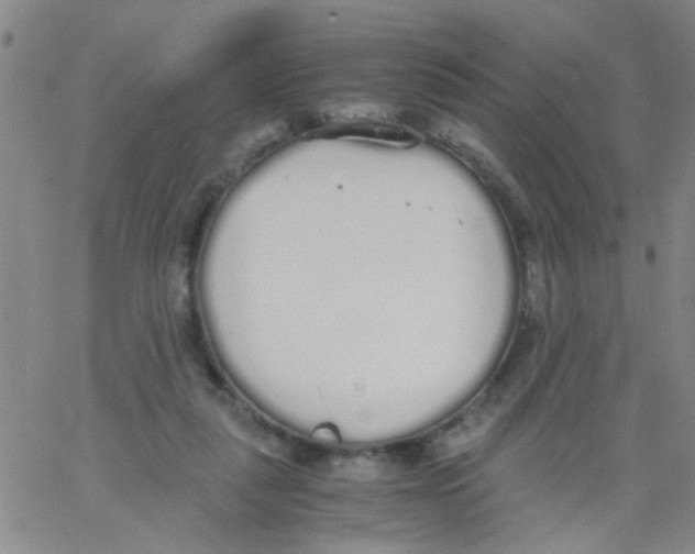 X0000062670259200601181908