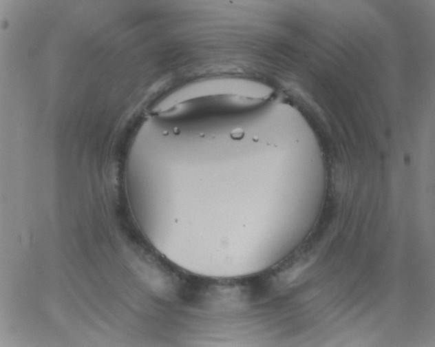 X0000062670260200601181908