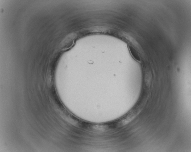 X0000062670261200601181908