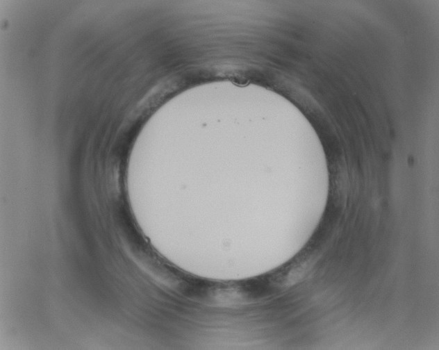 X0000062670262200601181908