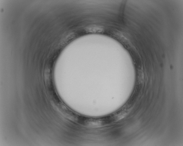 X0000062670263200601181908