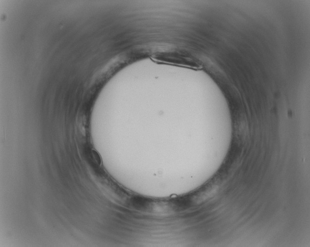 X0000062670264200601181908