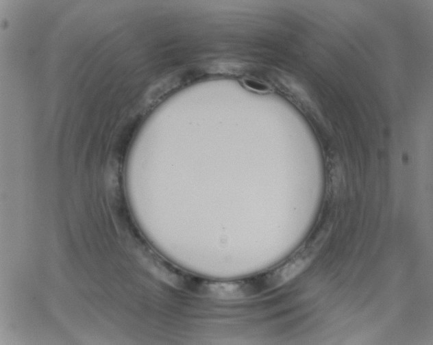 X0000062670265200601181908