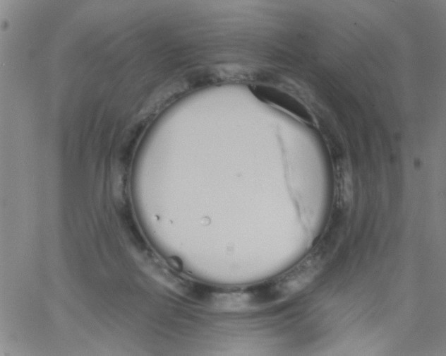 X0000062670266200601181908