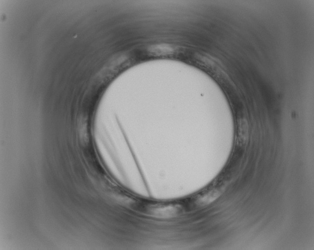 X0000062670267200601181908