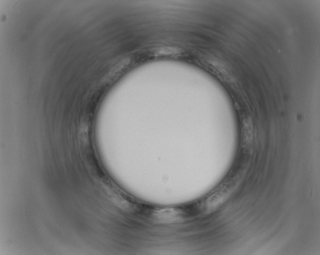 X0000062670269200601181908