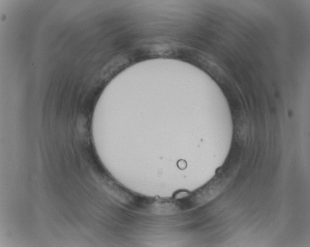 X0000062670270200601181908