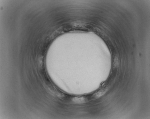 X0000062670271200601181908