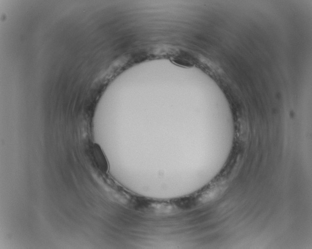 X0000062670272200601181908