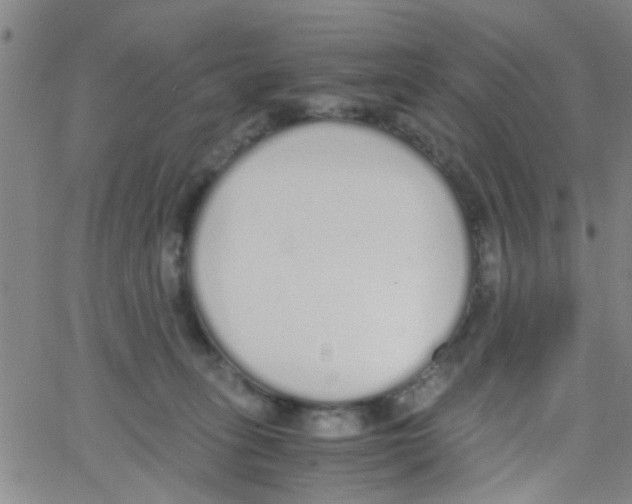 X0000062670275200601181908