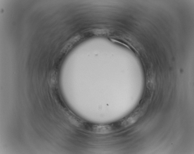 X0000062670277200601181908