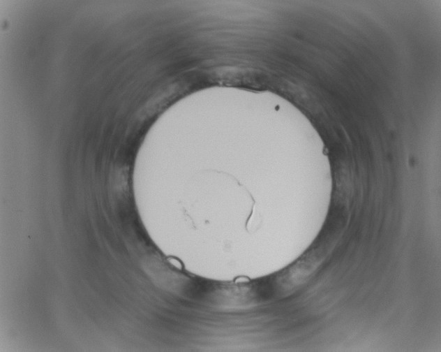 X0000062670278200601181908