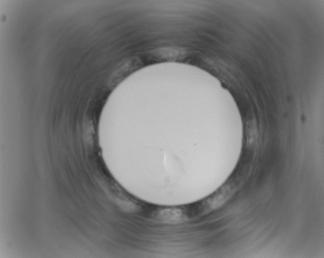 X0000062670279200601181908