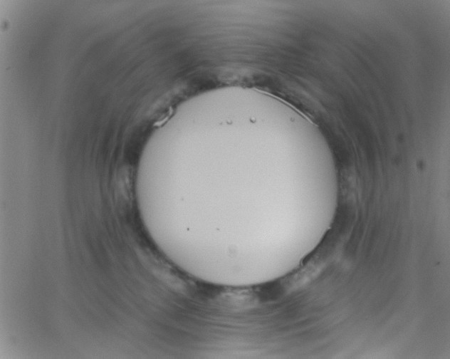 X0000062670280200601181908