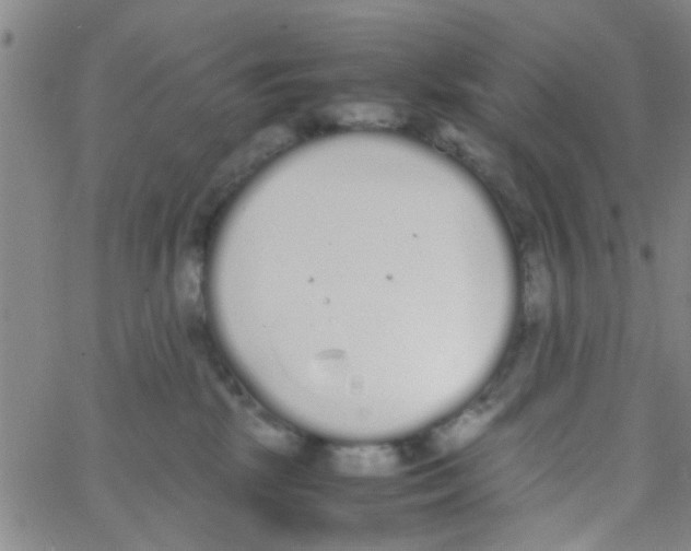 X0000062670281200601181908