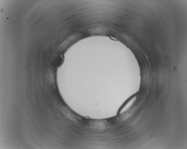 X0000062670282200601181908