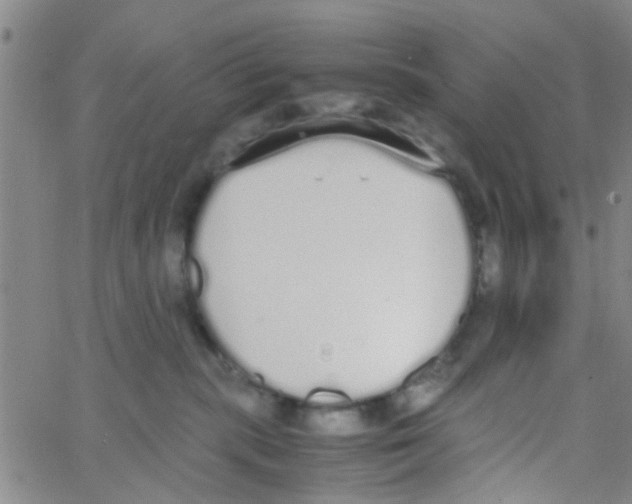 X0000062670283200601181908