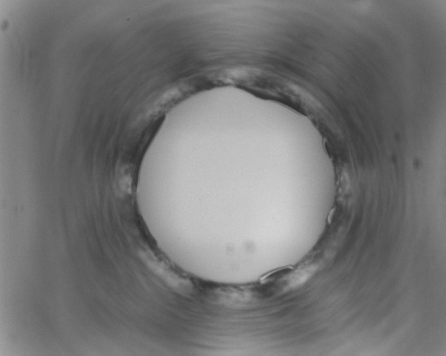 X0000062670284200601181908