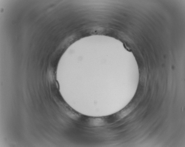 X0000062670287200601181908