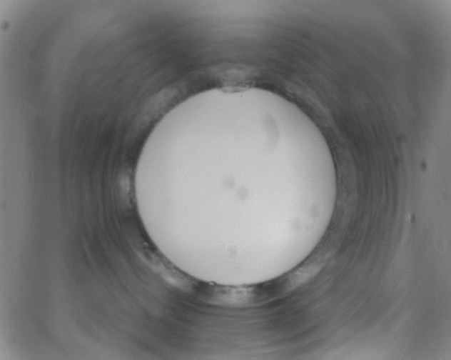 X0000062670288200601181908